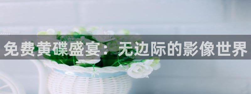 天天午夜影院：免费黄碟盛宴：无边际的影像世界