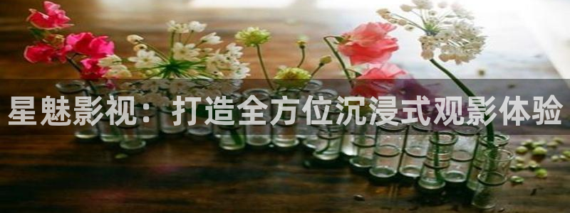 天天干色影院：星魅影视：打造全方位沉浸式观影体验