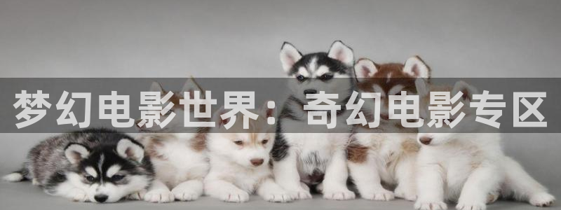 天天干干影院：梦幻电影世界：奇幻电影专区