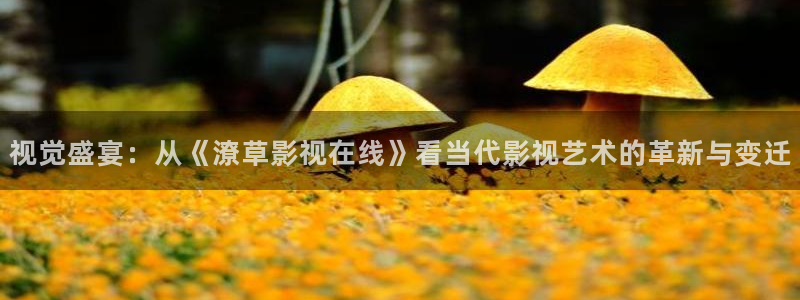 天天久久影院：视觉盛宴：从《潦草影视在线》看当代影视艺术的革新与变迁