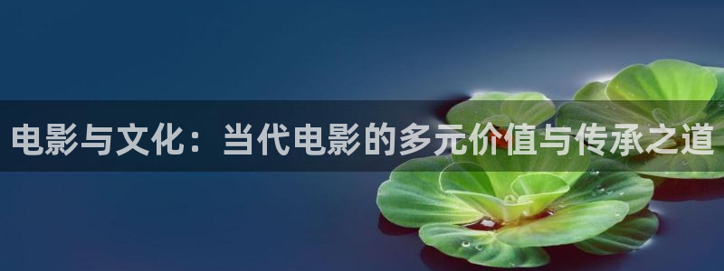 天天影院.：电影与文化：当代电影的多元价值与传承之道